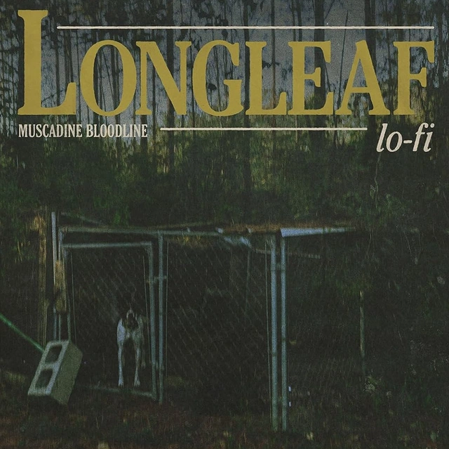 Muscadine Bloodline Longleaf Lo-Fi (LP) 