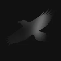 Sigur Rós Odin's Raven Magic (CD)
