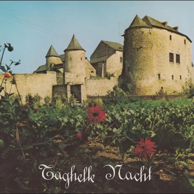Roudi Vagou & Lauten der Seele Taghelle Nacht (LP) 