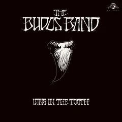 The Budos Band Long In The Tooth (CD)