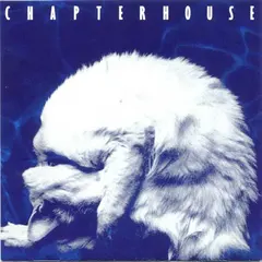 Chapterhouse Whirlpool (CD)