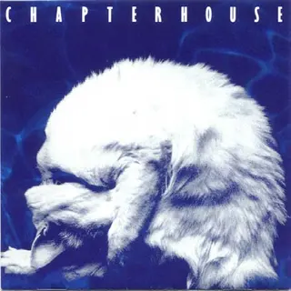 Chapterhouse Whirlpool (CD)