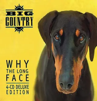 Big Country Why The Long Face (3CD)