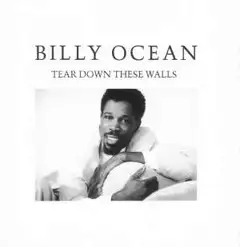Billy Ocean Tear Down These Walls (CD)