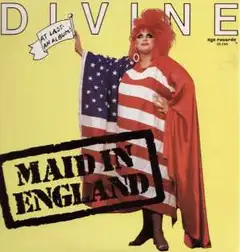 Divine Maid In England (CD)