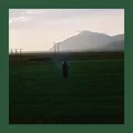 Ásgeir Julia - LTD (LP)