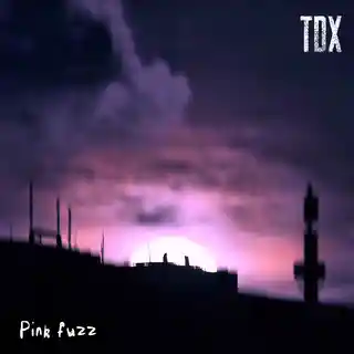 The Thelin-Dahlmann Exploitation Pink Fuzz - LTD (12")