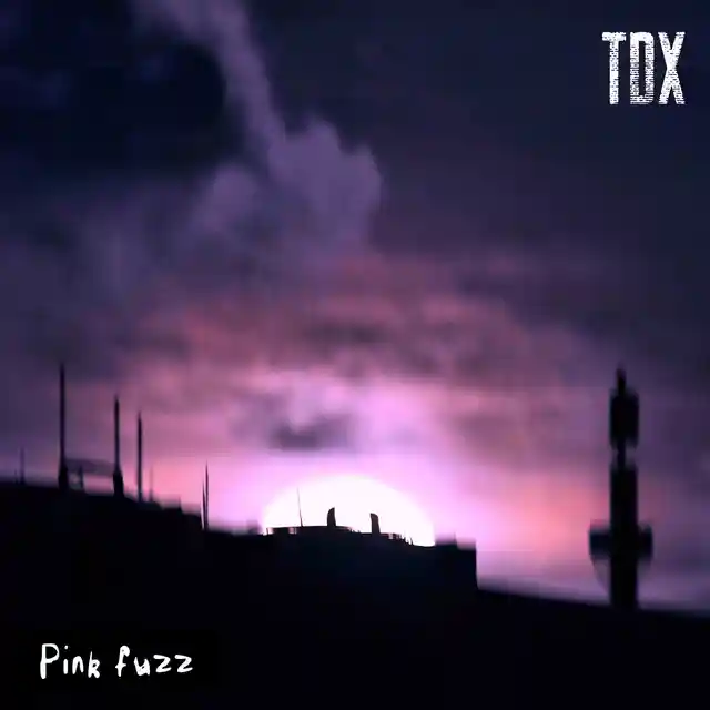 The Thelin-Dahlmann Exploitation Pink Fuzz - LTD (12") 