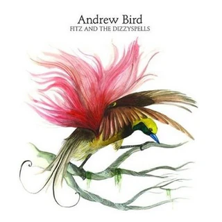Andrew Bird Fitz &amp; The Dizzy Spells (CD)