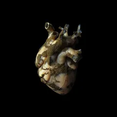 Highasakite Uranium Heart (LP)