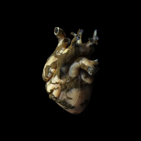 Highasakite Uranium Heart (LP) 