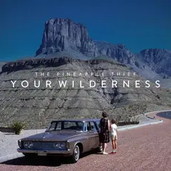 The Pineapple Thief Your Wilderness (CD)