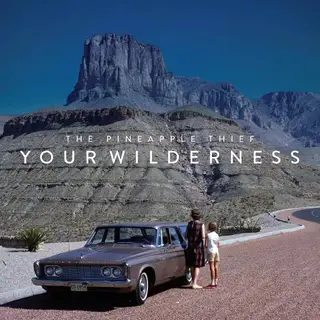 The Pineapple Thief Your Wilderness (CD)