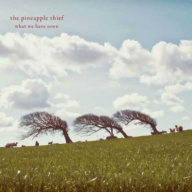 The Pineapple Thief What We Have Sown - Expanded (CD) 