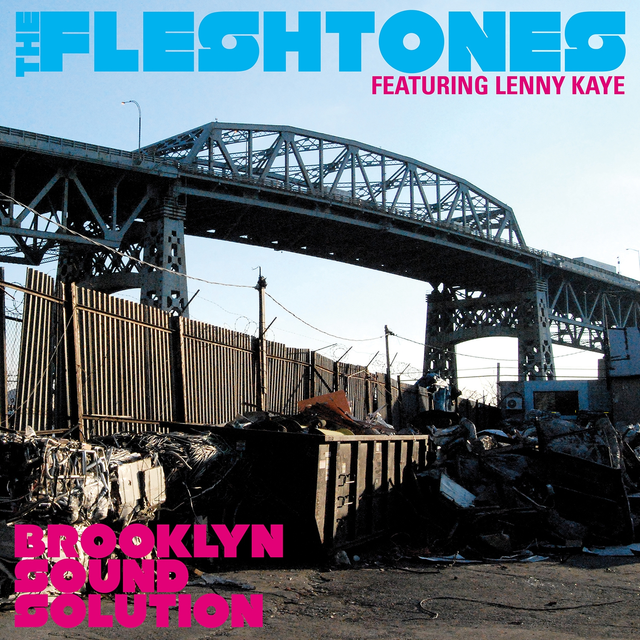 The Fleshtones Brooklyn Sound Solution (CD) 