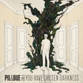 Pil &amp; Bue You Have Chosen Darkness (CD)