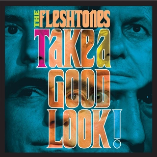 The Fleshtones Take A Good Look (CD)