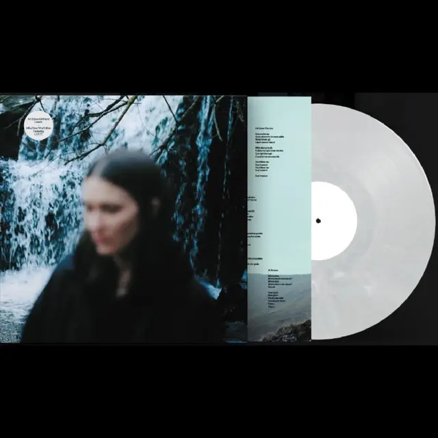 Art School Girlfriend Lean In - LTD (LP) 