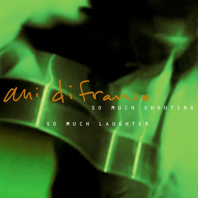 Ani DiFranco So Much Shouting, So Much Laughter (2CD) 