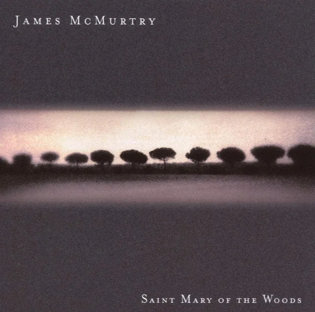 James McMurtry Saint Mary Of The Woods (CD) 