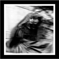 Gallows Desolation Sounds (CD)