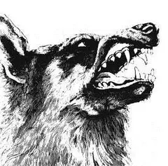 Crippled Black Phoenix I, Vigilante (CD)