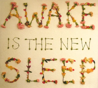 Ben Lee Awake Is The New Sleep (CD)