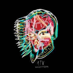 All Them Witches Nothing As The Ideal (CD)