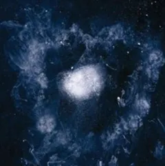 Swans My Father Will Guide Me Up A Rope… (CD)