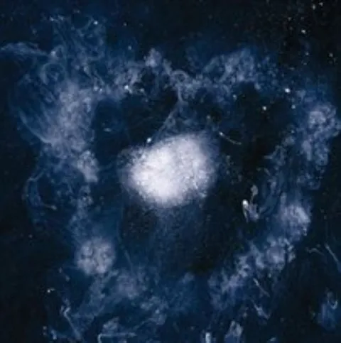 Swans My Father Will Guide Me Up A Rope… (CD) 