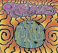 Ozric Tentacles At The Pongmaster's Ball (CD+DVD)