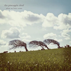 The Pineapple Thief What We Have Sown (CD)