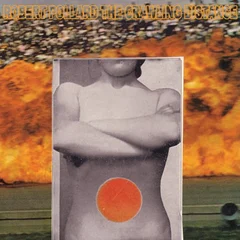 Robert Pollard The Crawling Distance (CD)