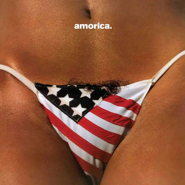 The Black Crowes Amorica: Super Deluxe… - LTD (4LP+10") 