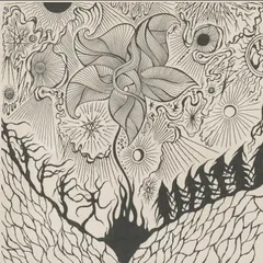 Jordsjø Nattfiolen (CD)