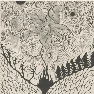 Jordsjø Nattfiolen (CD)