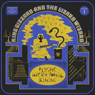 King Gizzard &amp; The Lizard Wizard Flying Microtonal Banana (CD)