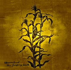 Wovenhand Laughing Stalk (CD)