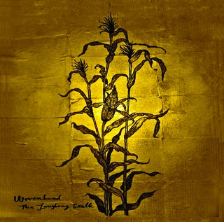 Wovenhand Laughing Stalk (CD)