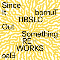 Adrian Corker TIBSLC Re-works Of Since It Turned… (LP)