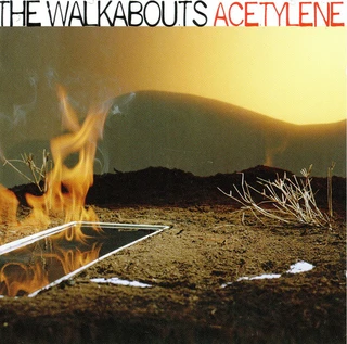 The Walkabouts Acetylene (CD)