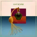 Why Bonnie Voice Box (CD)