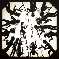 The Second Hand Orchestra Puzzle (LP)