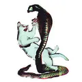 Les Savy Fav Cats And The Cobra (CD)