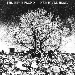 The Bevis Frond New River Head (CD)