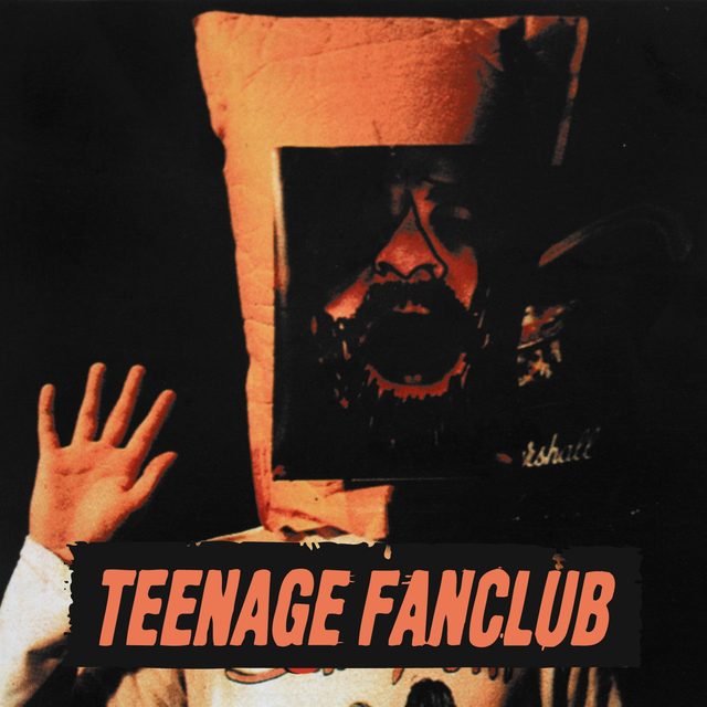 Teenage Fanclub Deep Fried Fanclub (CD) 