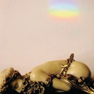 Josephine Foster No More Lamps In The Morning (CD)