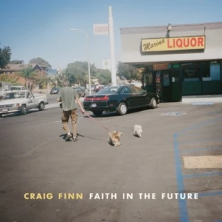 Craig Finn Faith In The Future (CD)