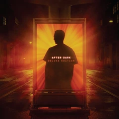 Friction Afterdark: Deluxe Edition (2LP)