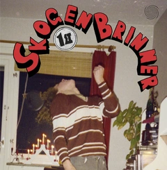 Skogen Brinner 1st (CD)